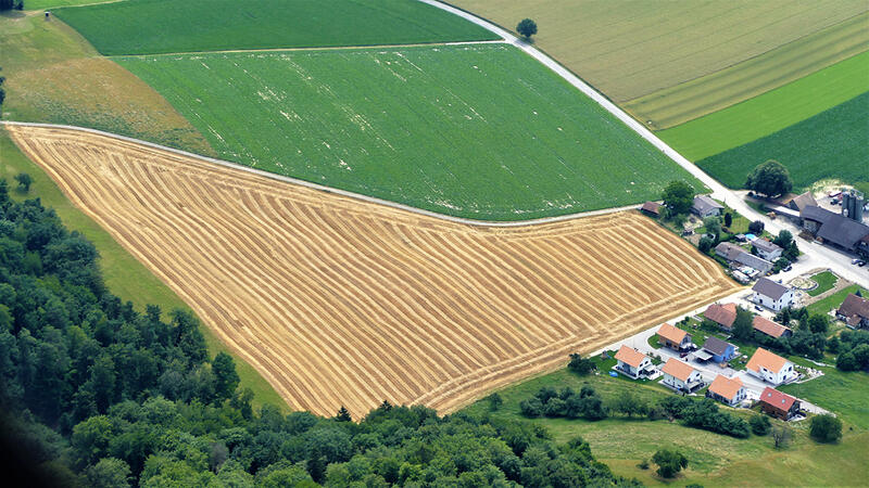 Vorlage für Manchester-Stoff: Feld bei Oberramsern im Limpachtal