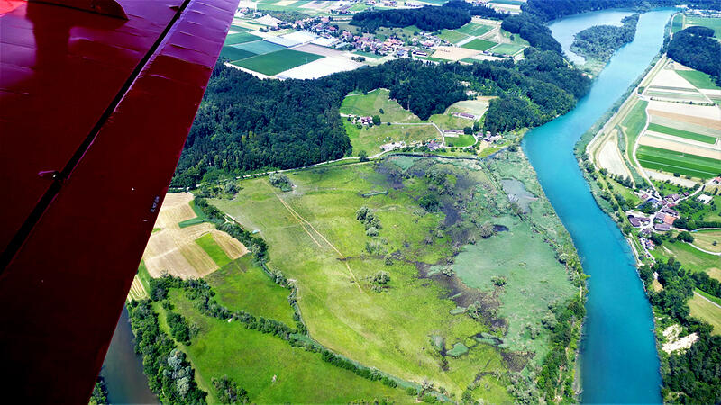 Naturschutzgebiet an der Aare bei Golaten