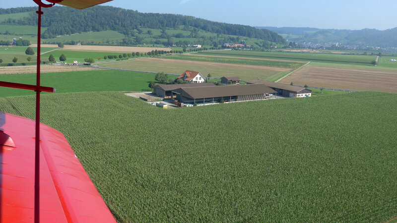 Der Mais steht hoch: Bauernhof beim Flugplatz Birrfeld