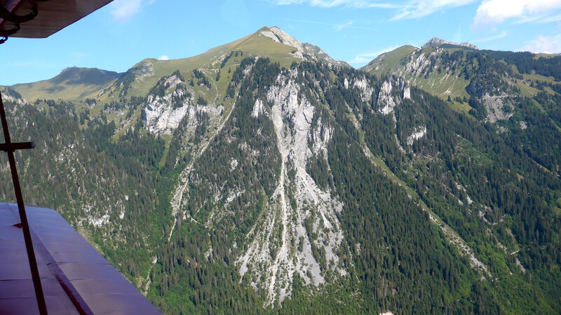 Schutthang im Schutzwald bei Oberwil (Enge)