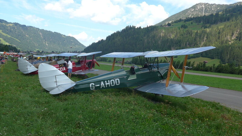 De Havilland DH-82 Tiger Moth in Reih und Glied