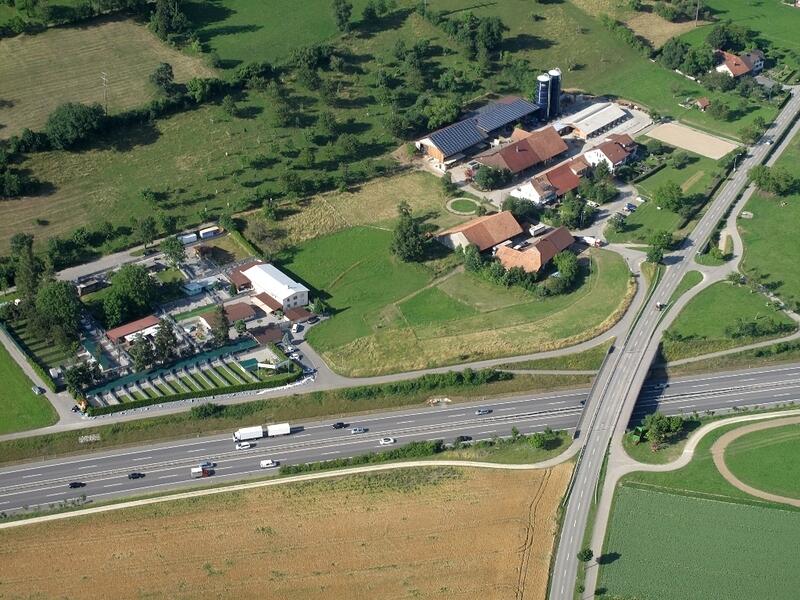 0238 Trotte Mülligen