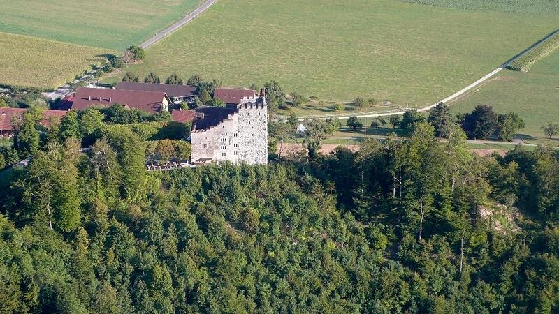 0318 Schloss Habsburg