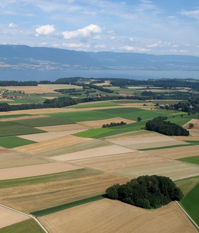 0329 Landwirtschaftsgebiet am Neuenburgersee