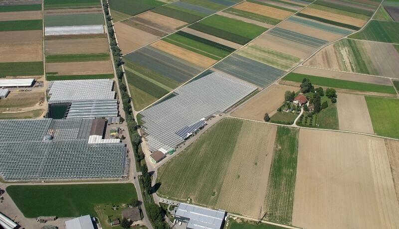 0334 Grosses Moos bei Kerzers