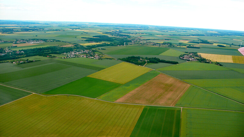 Wo sind bloss die Apfelbäume?