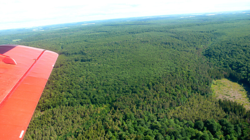 Les grands forêts de France!