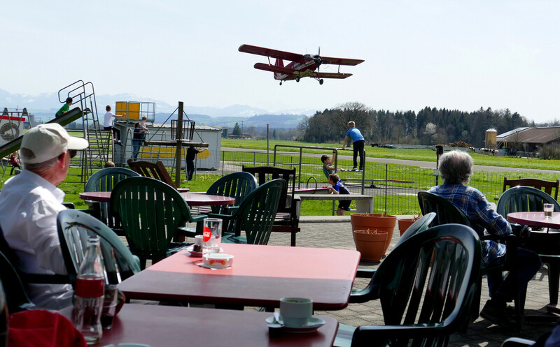 Es gibt allerlei zu sehen auf der Flying Ranch!