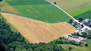 Vorlage für Manchester-Stoff: Feld bei Oberramsern im Limpachtal