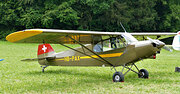 Piper PA-18 Super Cub (HB-PAX)