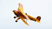 Bücker Bü-131B Jungmann (HB-UUU)