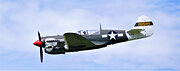 P40 Warhawk (F-AZKU)