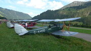 De Havilland DH-82 Tiger Moth in Reih und Glied