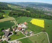 0105 Weiler Herrenberg