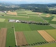 0223 Birrfeld