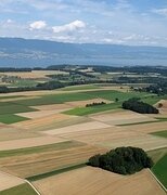 0329 Landwirtschaftsgebiet am Neuenburgersee