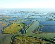 0350 Laguna di Grado