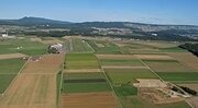 0277 Birrfeld