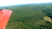 Les grands forêts de France!